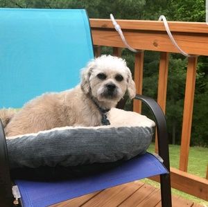 Meet your Posher, Cathy